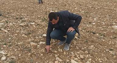 Karaman'da mera müjdesi